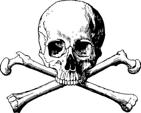 Crossbones,skull,danger,death,halloween - free image from needpix.com