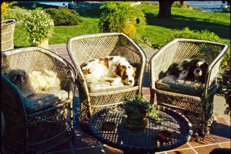 Best outdoor furniture: Patio chairs at every budget - Curbed