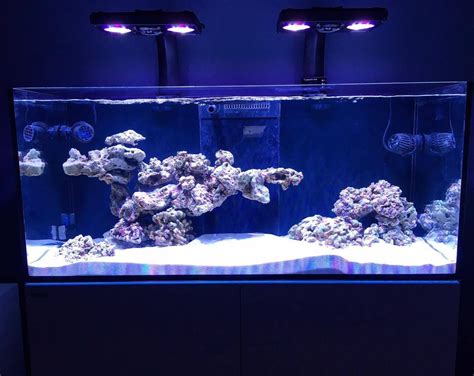 Reef Aquascape Ideas - Aquascape Ideas