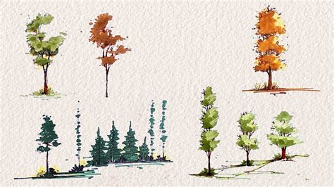 Trees For Architectural Drawings