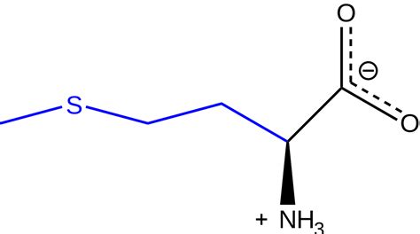 Methionine - Wikipedia