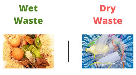 Dry Waste And Wet Waste Management | How To Segregate Waste?