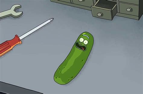 Meet Pickle Rick in the Rick-tastic Trailer For Season Three of ‘Rick ...