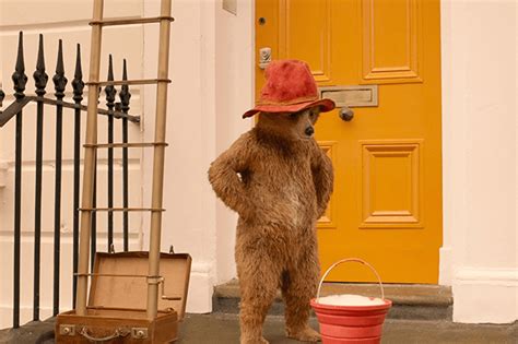 Paddington 2: #MeToo – Ethos Media