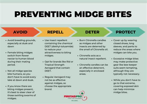 Biting Midges Bites Pictures