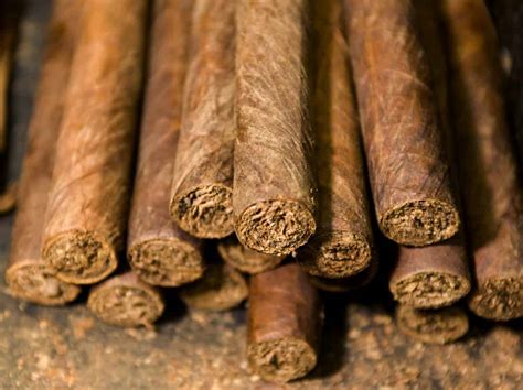 A Guide to How Are Cigars Made: Fascinating Cigar Facts