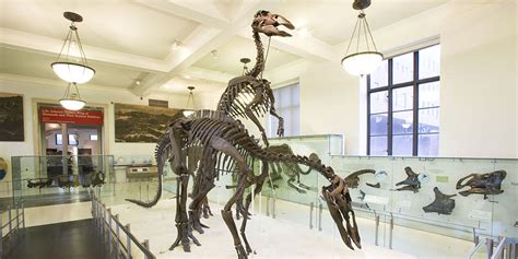 Dinosaurs | American Museum of Natural History - Flipboard