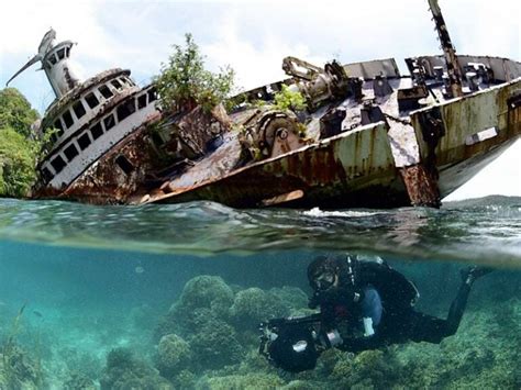 Solomon Islands Diving, an essential guide - Master Liveaboards