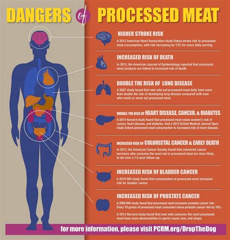 Health Risks of Processed Meat Infographic