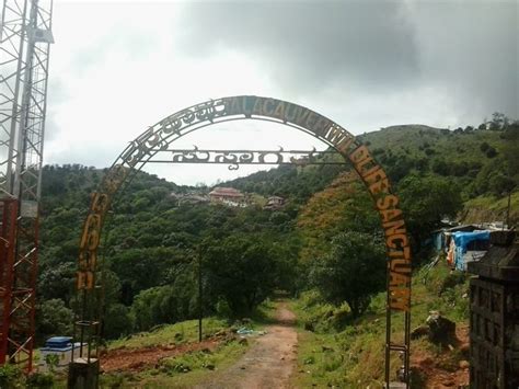 Amazing Wildlife Places in Coorg | Trawell.in Blog