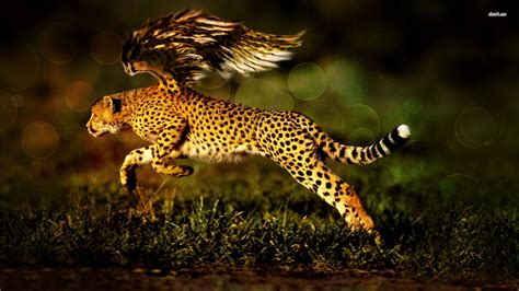 Fantasy Cheetah HD Wallpapers und Hintergründe