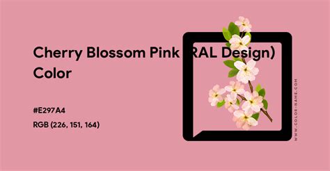 Cherry Blossom Pink (RAL Design) color hex code is #E297A4