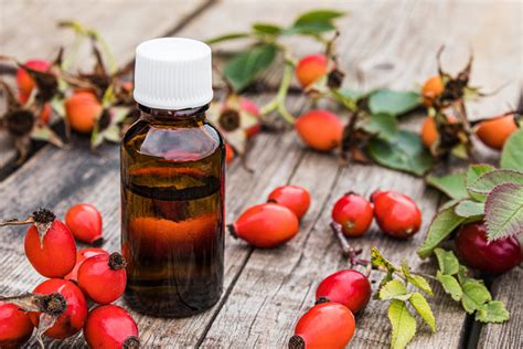 4 Benefits of Rosehip Seed Oil | How to Use Rosehip Oil for Face, Hair ...