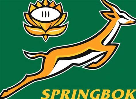 Springbok Rugby Logo