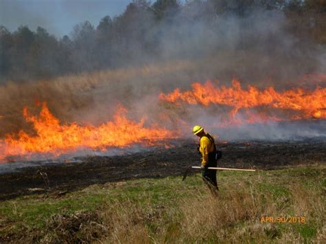 Controlled burns for wildlife yield benefits - Farm and Dairy