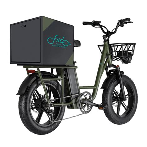 FIIDO T1 48V/20Ah Electric Cargo Utility Off-Road Bike, 750W – SAKSBY.com