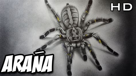 Aterrador Dibujo de una Araña Realista a Lápiz - Versión Rápida - YouTube