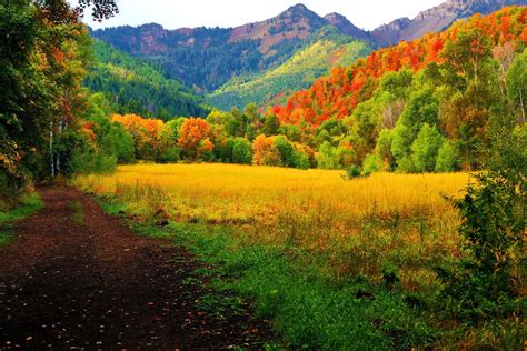 Autumn In The Mountain HD desktop wallpaper : Widescreen : High ...