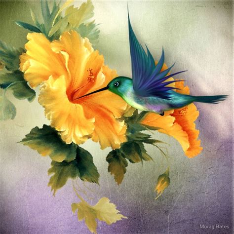 Little Humming Bird by Morag Bates | Humming bird art, Hummingbird ...