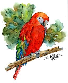 sbwatercolors and sketching: Parrot - Watercolor - Stillman & Birn Beta ...