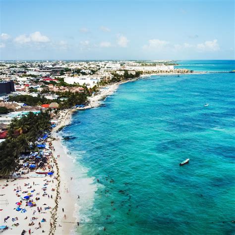 Playa del Carmen Beaches Are Sargassum-Free For First Time In 6 Months ...