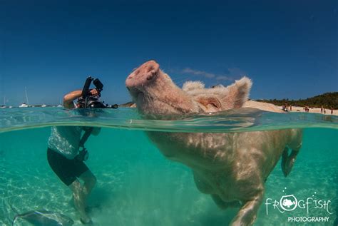 Sensational Snorkelling – Some of the best sites from around the world