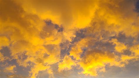 Free Images : cloud, sunset, sunlight, atmosphere, golden, cumulus ...