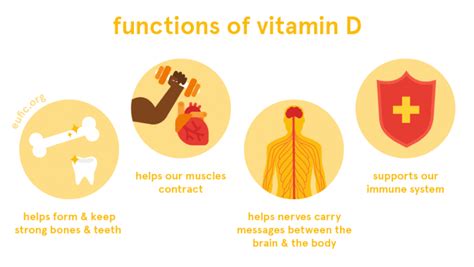 Vitamin D: Foods, Functions, How Much Do You Need And More - DentaMedica