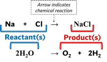 Reactants, Products, and Leftovers Study Guide - Inspirit