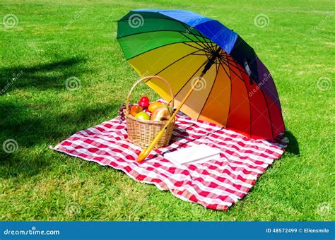 Rainbow umbrella, book and Picnic basket