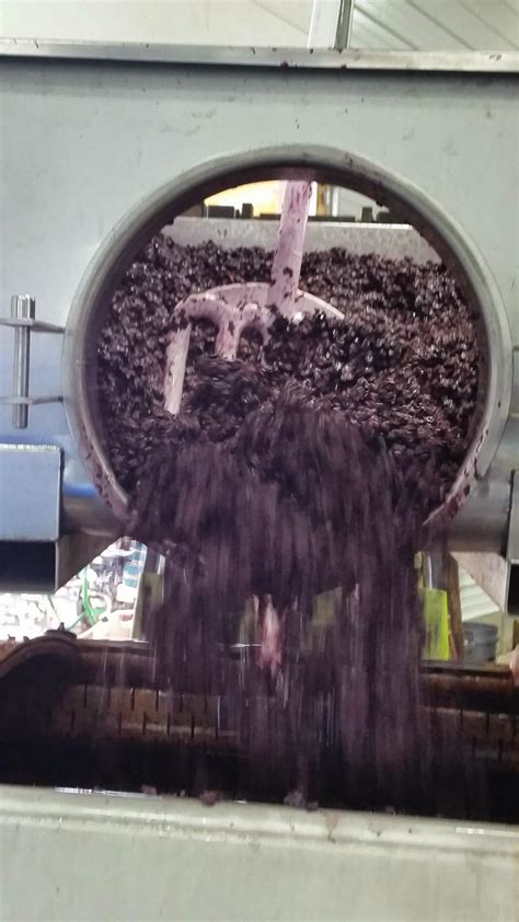 Wine Making Experience - The Urban Winery