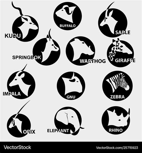 Set popular african animals for logos Royalty Free Vector