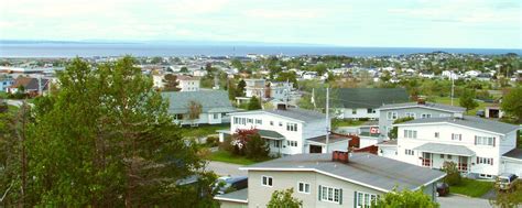 Stephenville | Newfoundland and Labrador - 1000 Towns of Canada