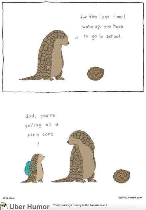 Armadillo problems | Funny Pictures, Quotes, Pics, Photos, Images ...