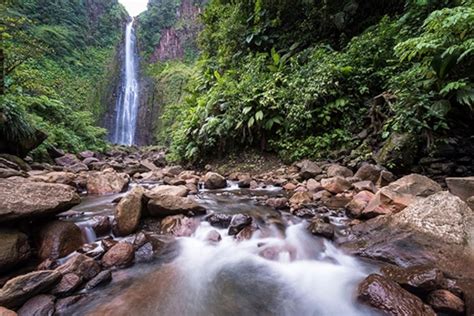 The Guadeloupe Islands Open for Business - The Go To Family