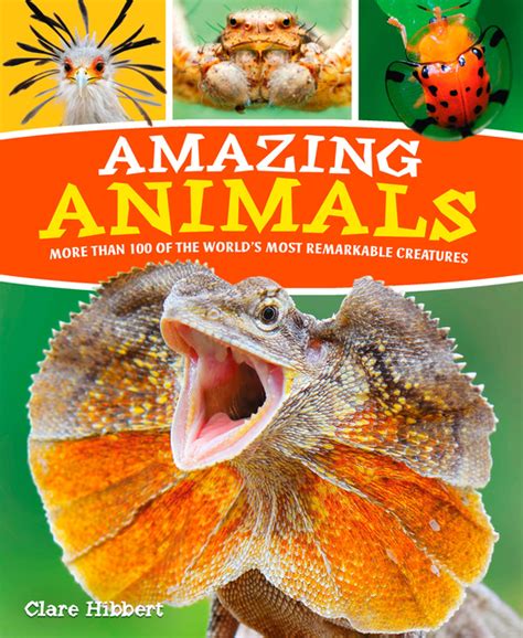 Amazing Animals: More than 100 of the World's Most Remarkable Creatures ...