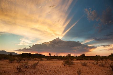 The Sonoran Desert - WorldAtlas