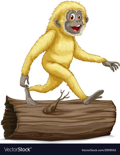 Gibbon Royalty Free Vector Image - VectorStock