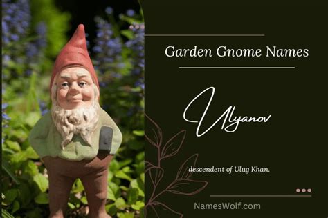 450+ Gnome Names You'll Want to Use for Your Own Garden