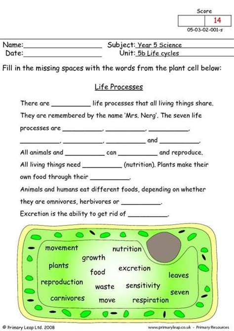 Image result for worksheet on life process | Science, Life science ...