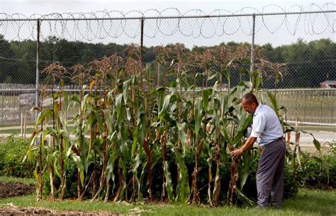 Grafton prisoners learn job skills but employers hard to find ...