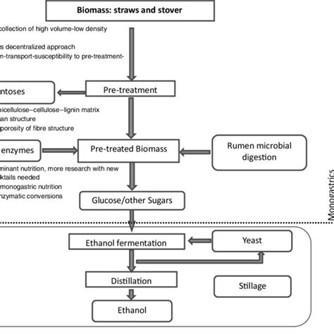 Process steps in second-generation biofuel technology of interest to ...