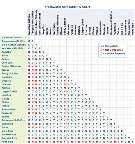 Freshwater Fish Compatibility Chart - Aquarium Connection