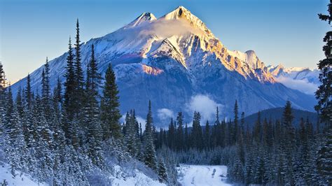 Alberta, Banff National Park, Canada, mountains, trees, snow, road ...