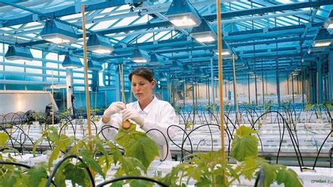 Bayer Crop Science Tackles Shipment Visibility