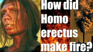 Pleistocene fire making: Why H erectus became bigger fa... | Doovi