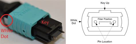 Introduction to MPO Connector