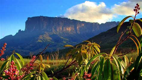 Parque Nacional Canaima: Tepuy Cuquenán