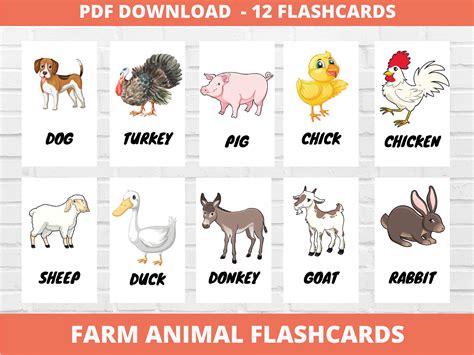 Farm Animals Flashcards Printable Primary Resources – NBKomputer