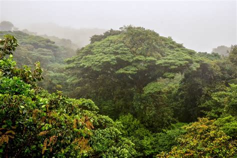 Todo lo necesario para tu viaje a Guayana - Easyviajar